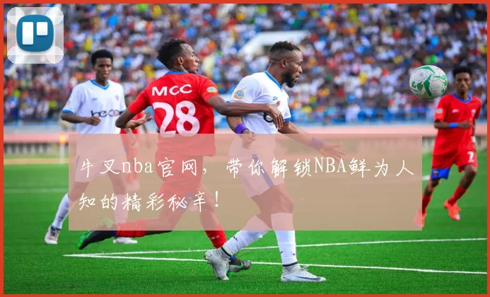 牛叉nba官网，带你解锁NBA鲜为人知的精彩秘辛！