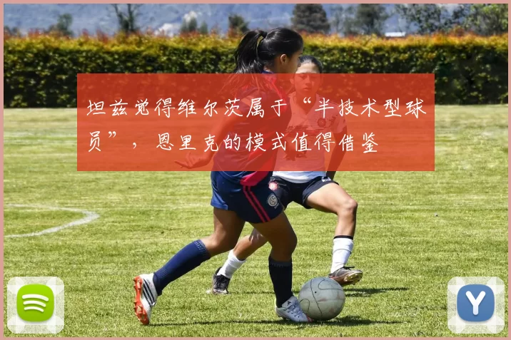 坦兹觉得维尔茨属于“半技术型球员”，恩里克的模式值得借鉴