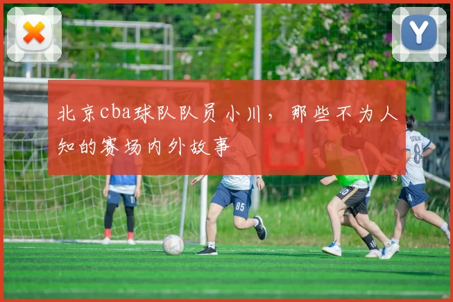 北京cba球队队员小川,那些不为人知的赛场内外故事