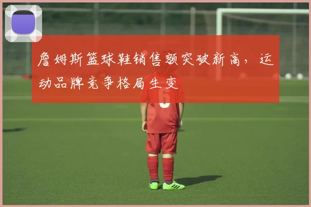 詹姆斯篮球鞋销售额突破新高,运动品牌竞争格局生变