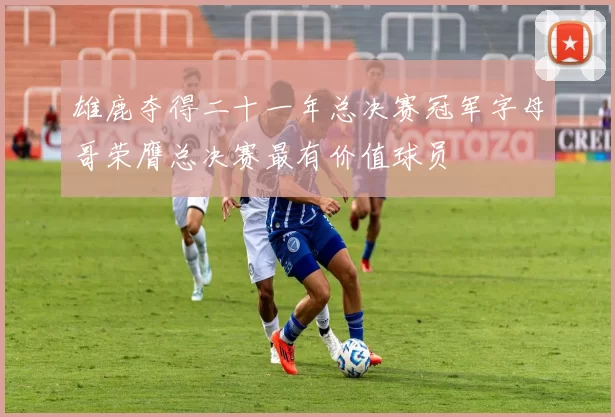 雄鹿夺得二十一年总决赛冠军字母哥荣膺总决赛最有价值球员