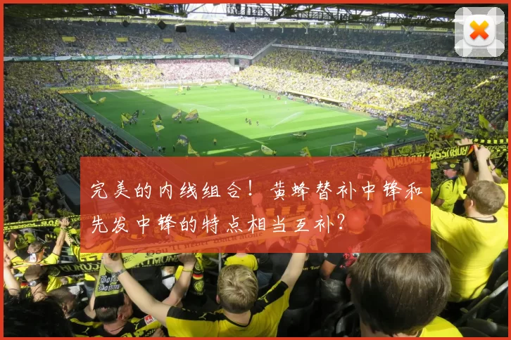 完美的内线组合!黄蜂替补中锋和先发中锋的特点相当互补?