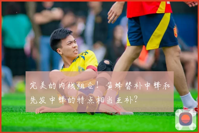 完美的内线组合!黄蜂替补中锋和先发中锋的特点相当互补?