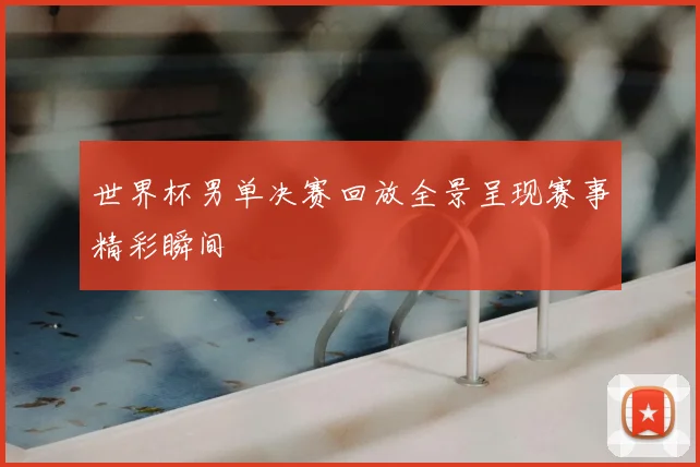 世界杯男单决赛回放全景呈现赛事精彩瞬间