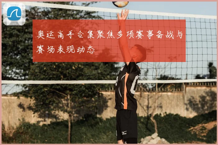 奥运高手合集聚焦多项赛事备战与赛场表现动态