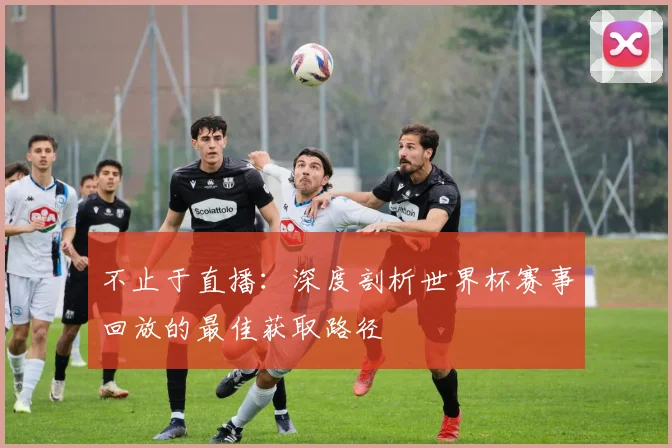 不止于直播:深度剖析世界杯赛事回放的最佳获取路径