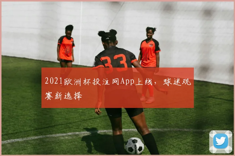 2021欧洲杯投注网App上线，球迷观赛新选择
